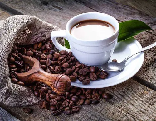 معرفی و آشنایی با انواع اصلی قهوه در نیکان دکور